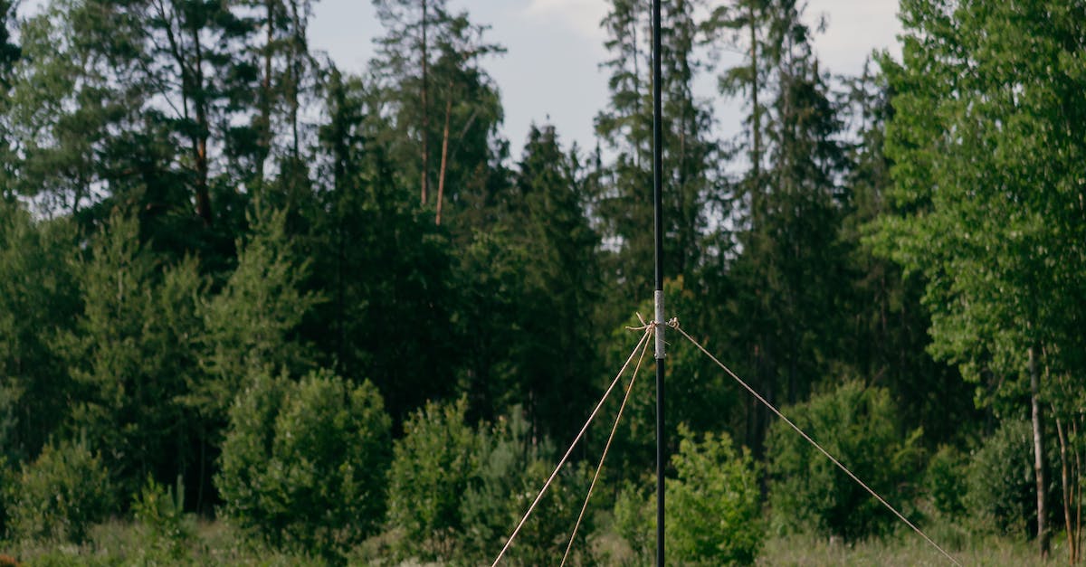 Saako armeijan lomilla mennä ulkomaille?